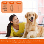 360 Chews - Multivitamin Dog Supplement, Grain Free