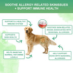 Dog Anti-Allergy Soft  Chews  120 PCS/Bottle