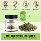 Catnip 100% Natural Safe