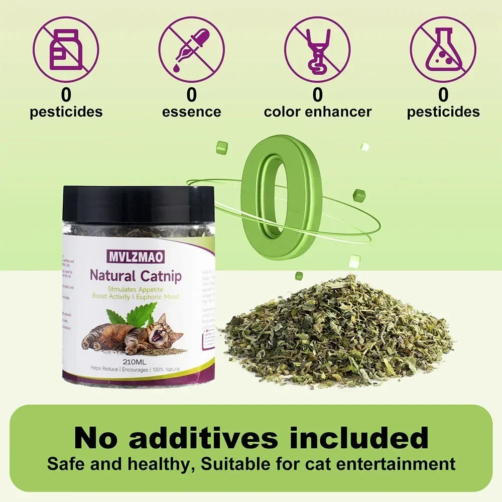 Catnip 100% Natural Safe