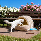 Pet House Bed