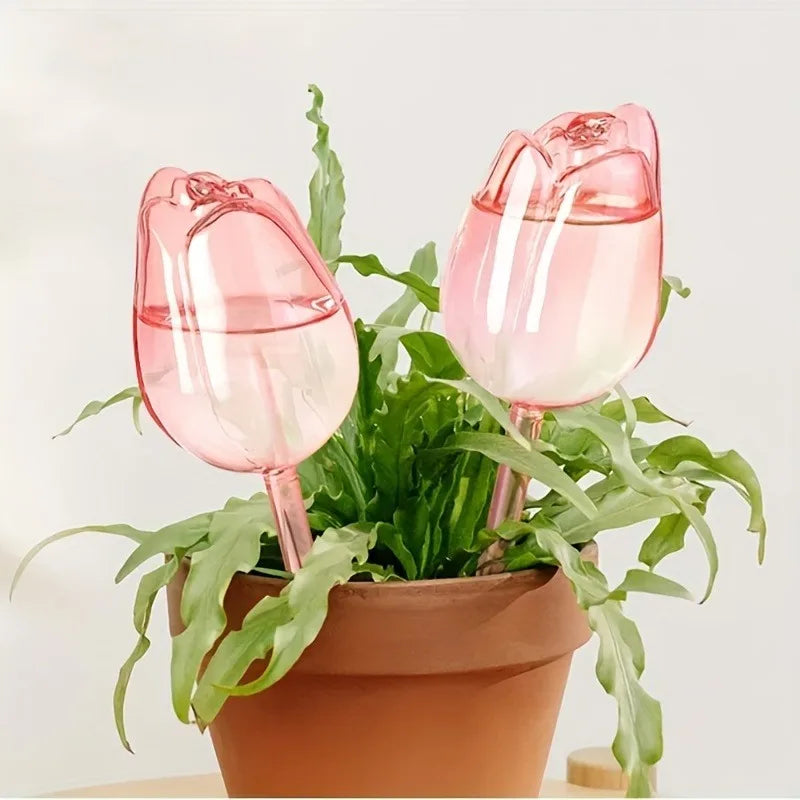 Pink tulip plant watering balls