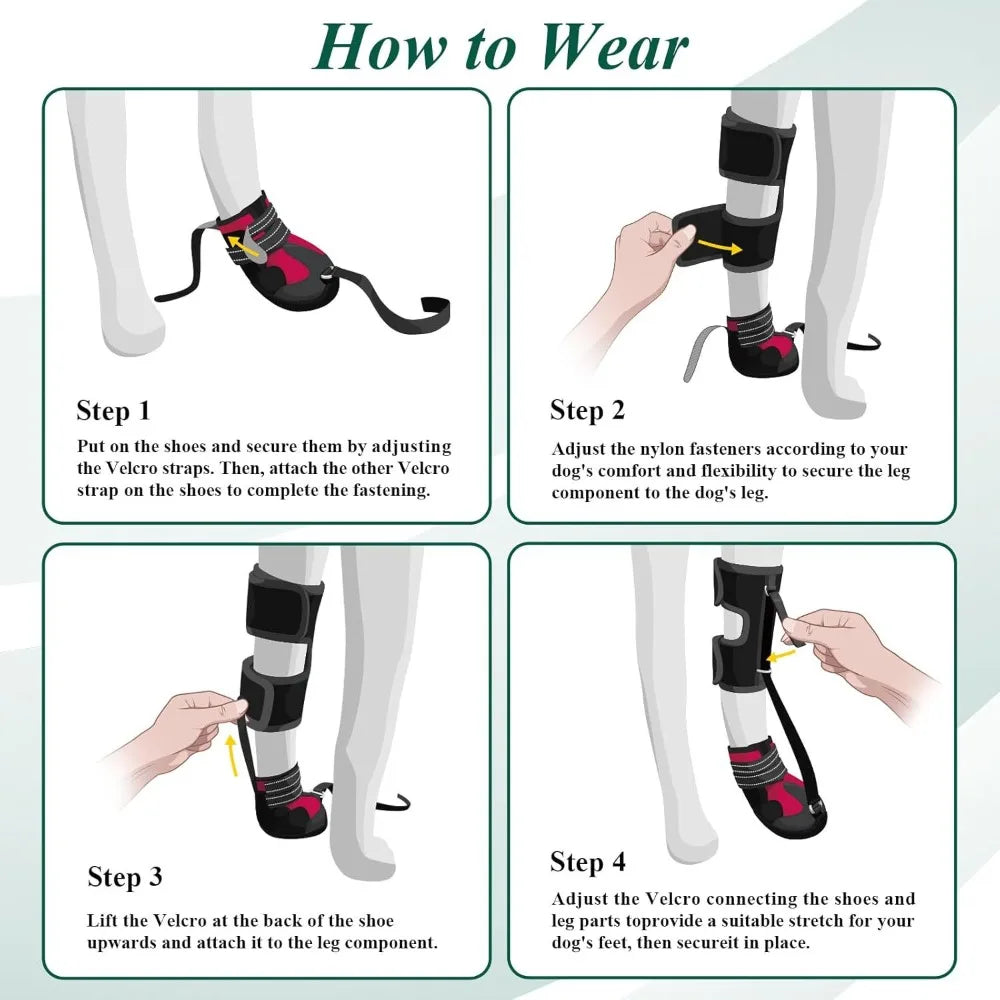 Drop Foot Brace /  Corrective Dog Shoe