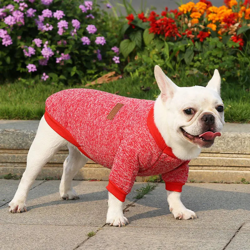 Pet Clothes, Sweatshirts
