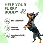 Dog Anti-Allergy Soft  Chews  120 PCS/Bottle