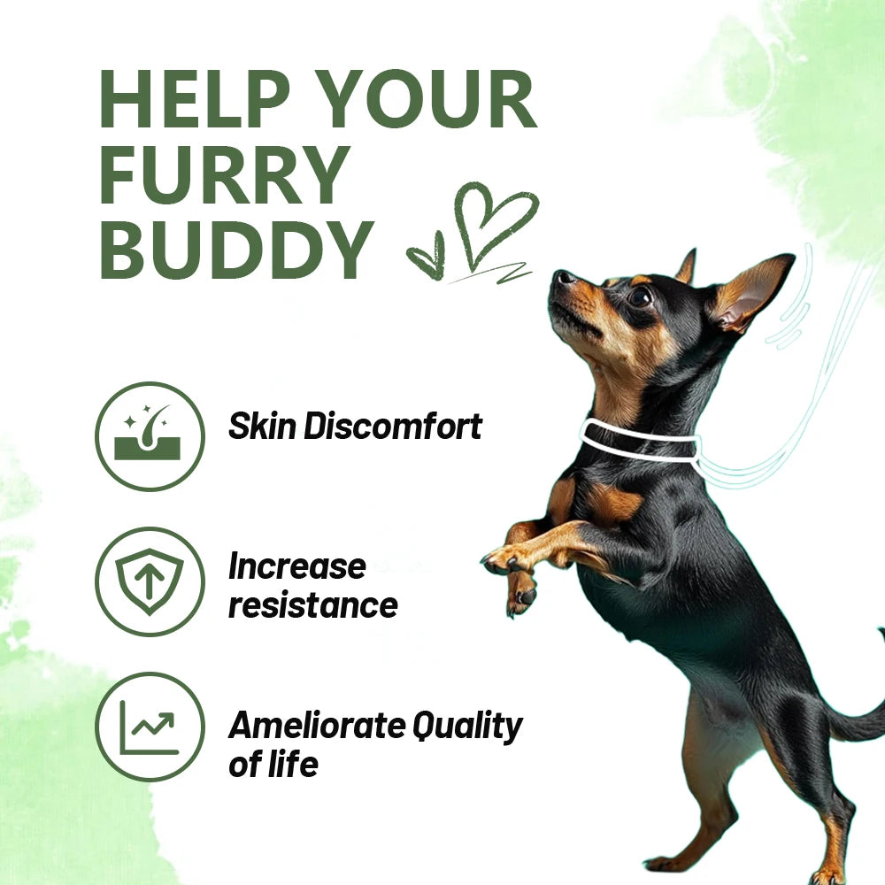 Dog Anti-Allergy Soft  Chews  120 PCS/Bottle