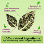 Catnip 100% Natural Safe