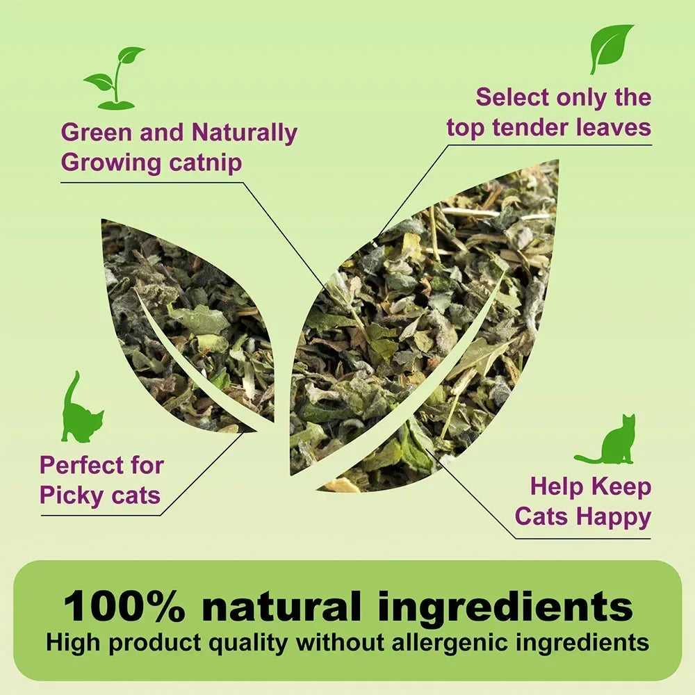 Catnip 100% Natural Safe
