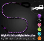Pet Leash, Reflective