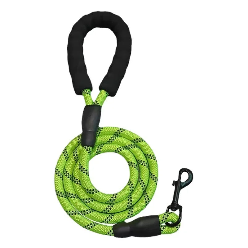 Pet Leash, Reflective