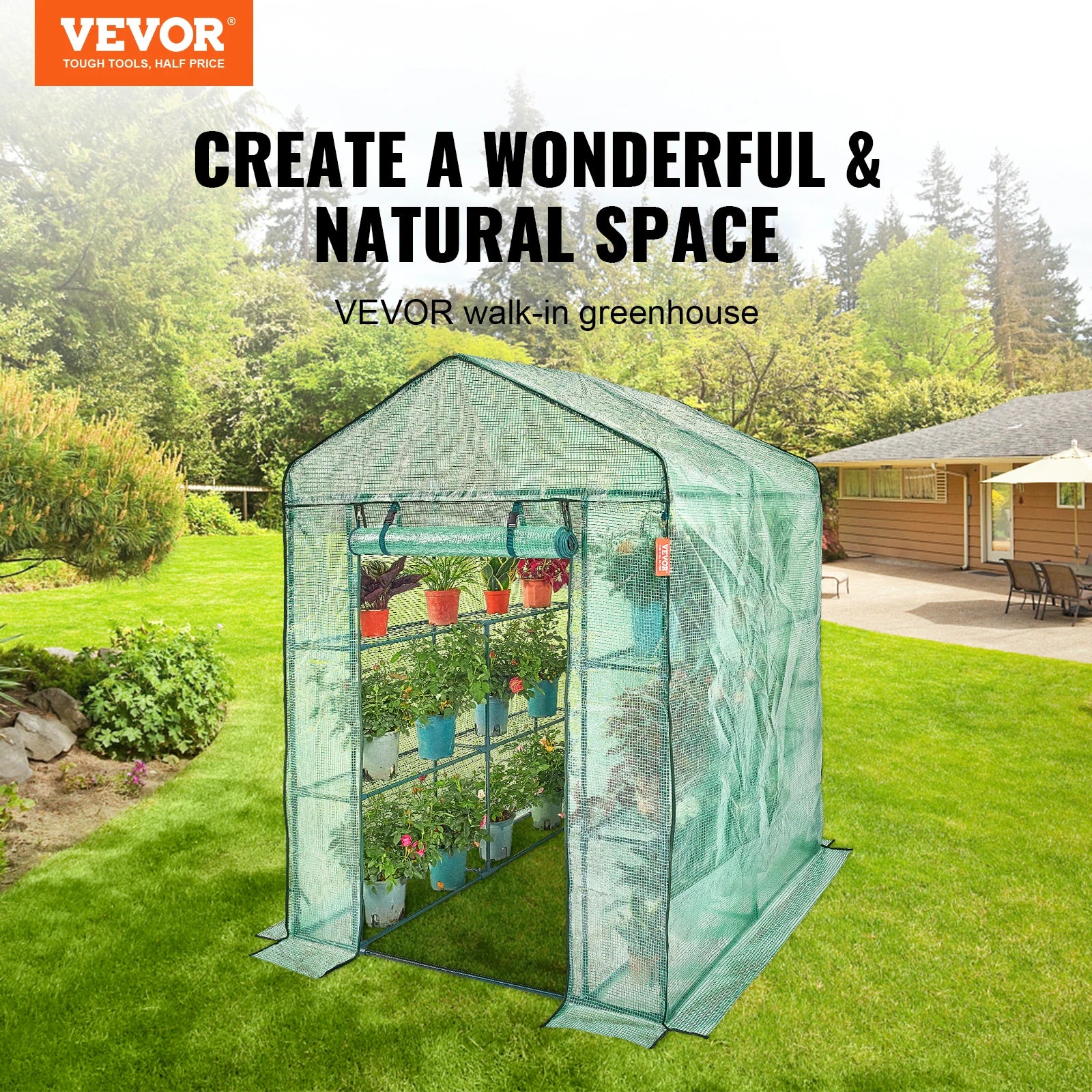 Walk-in Greenhouse with Shelves, Doors ,windows, Frame