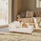 Elevated Pet Stool Bed
