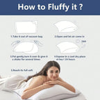 2PC Bed Pillows / Soft Down Alternative