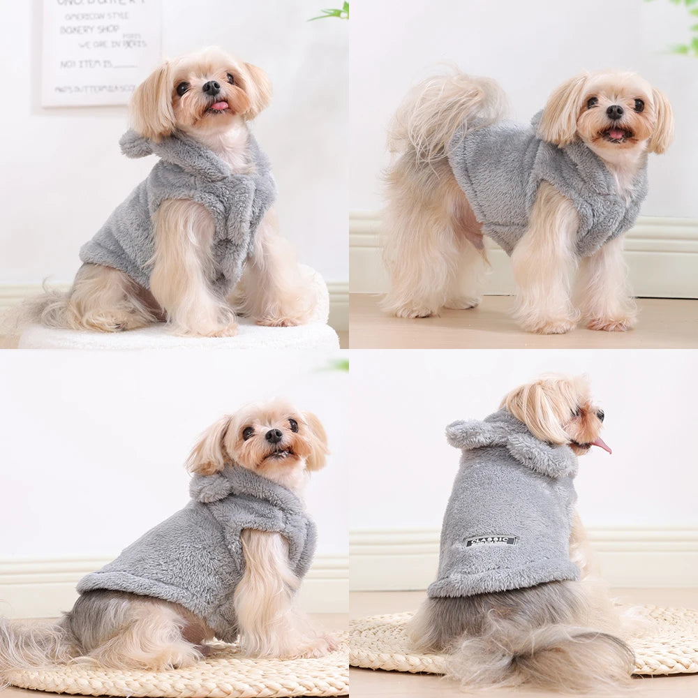 Small Pet Clothes