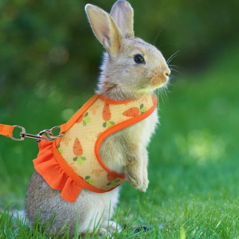 Rabbit Harness with Leash