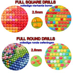 DIY Diamond Mosaic Diamond Painting
