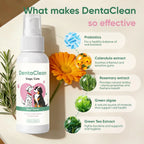100ml Dental Spray with Probiotics
