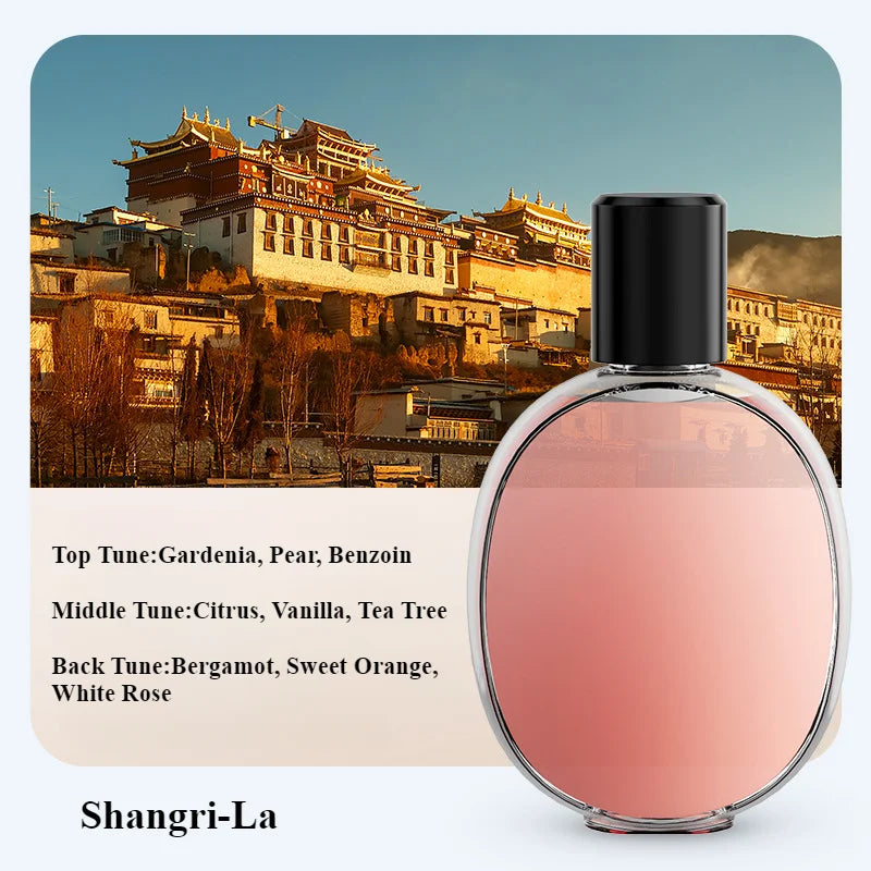 Automatic Diffuser Humidifier/Oil