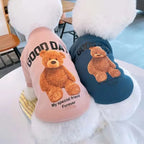 Pet Teddy Clothing