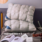 2-Piece Pillow Set