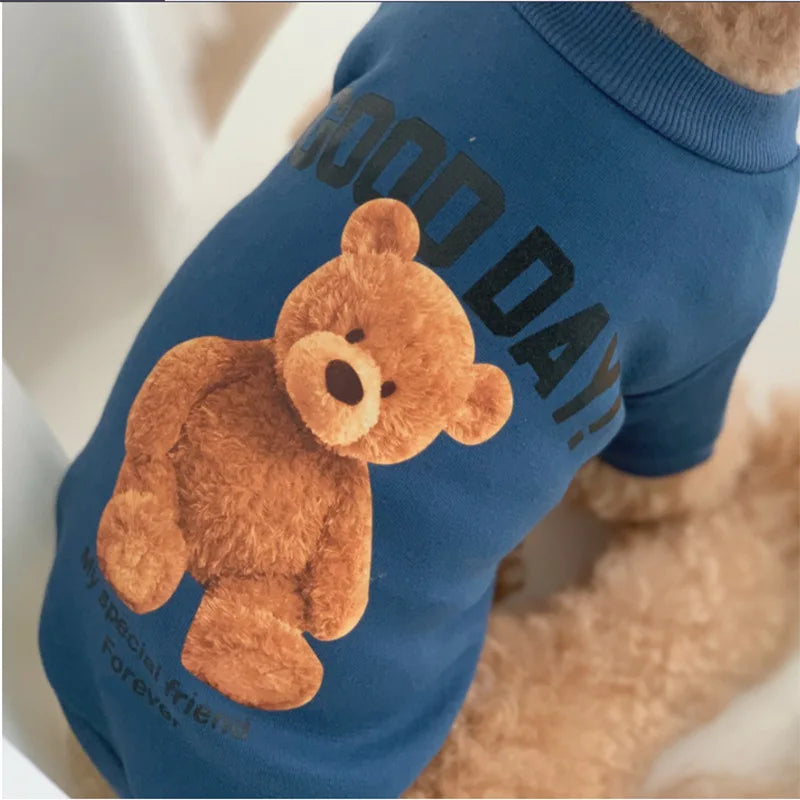 Pet Teddy Clothing