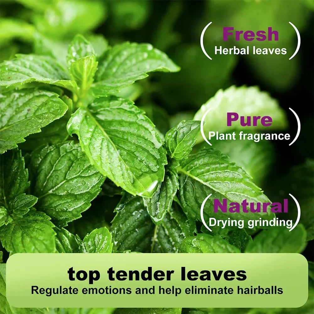 Catnip 100% Natural Safe