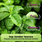 Catnip 100% Natural Safe
