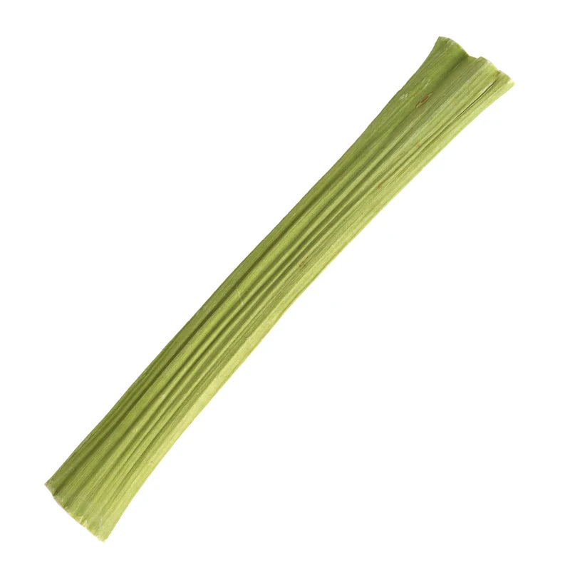 20g Pet Teeth Grinding, Papaya Stem