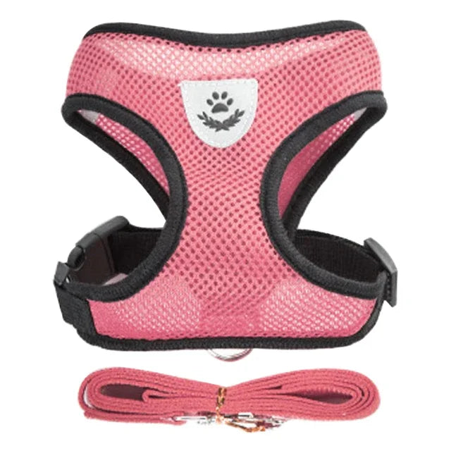 Small Pet Harness Vest, Leash