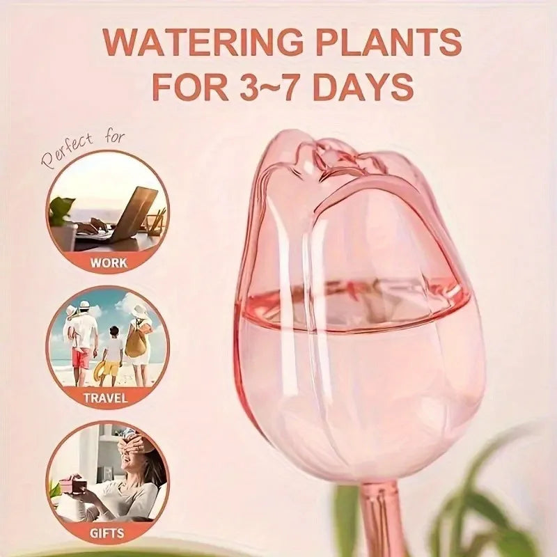 Pink tulip plant watering balls