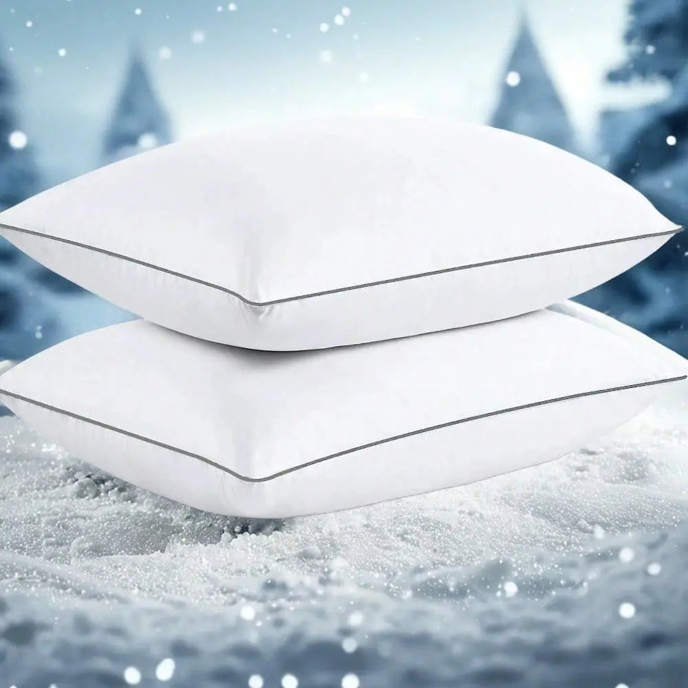 2PC Bed Pillows / Soft Down Alternative