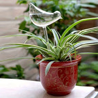 5 Bird-Shaped Self-Watering Globes