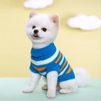 Knitted Sweater S-2XL
