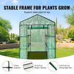 Walk-in Greenhouse with Shelves, Doors ,windows, Frame