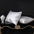 51x91 cm  Goose Down Pillow
