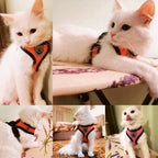 Pet Harness, Lead Leash, Adjustable Vest