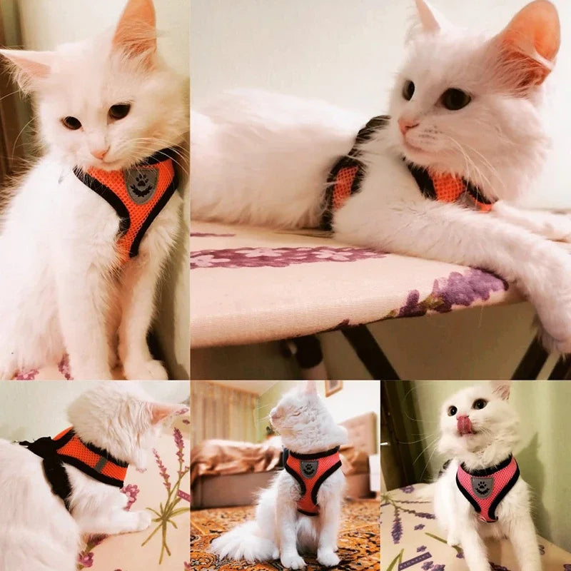 Pet Harness, Lead Leash, Adjustable Vest