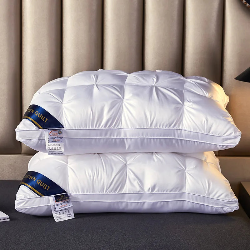 2-Piece Pillow Set