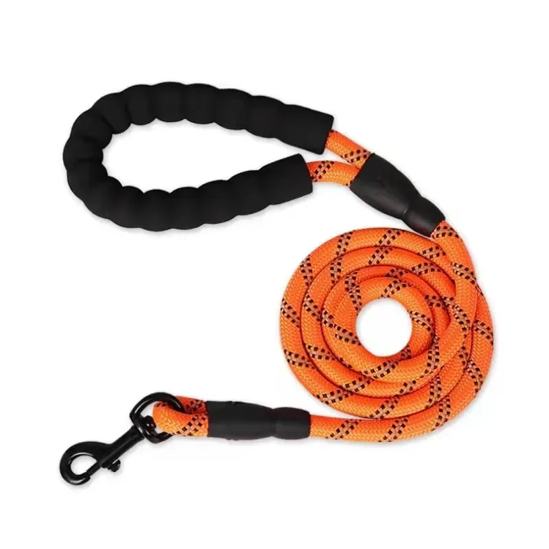 Pet Leash, Reflective