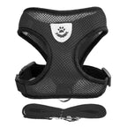 Small Pet Harness Vest, Leash