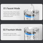 Auto Smart Water Fountain