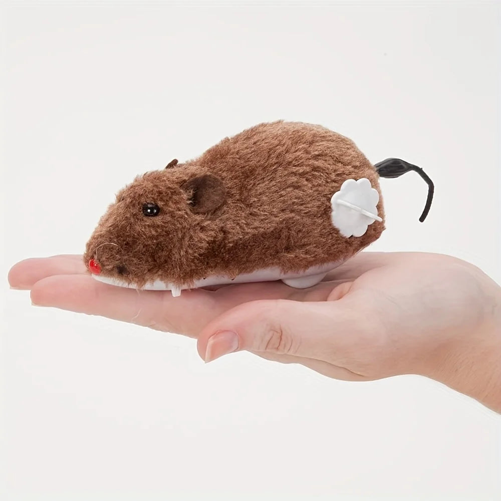 1/5pcs Toys for Cats
