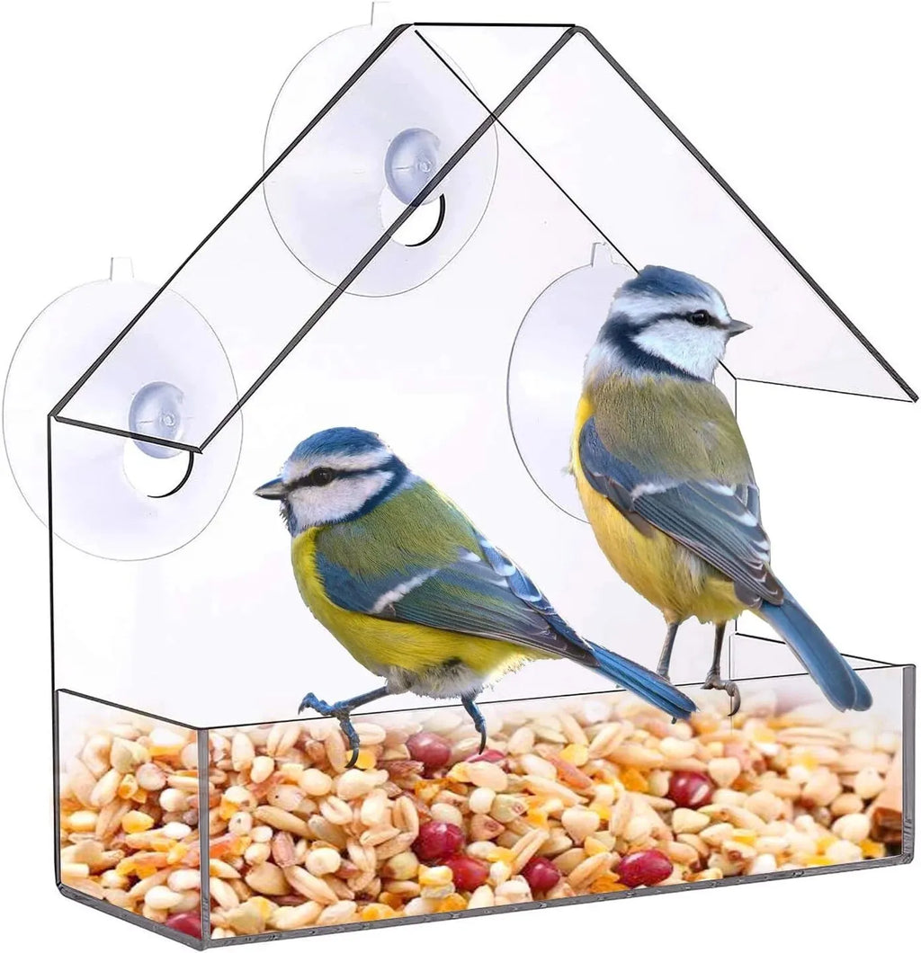 Acrylic Bird Feeder With Suction Cups