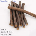 5pcs 10pcs 40pcs Chew, Grinding Stick
