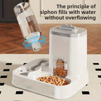 Large  Pet  Feed and Water Dispensers
