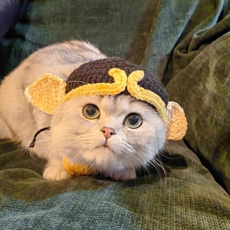 Cute Cat Hat