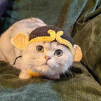 Cute Cat Hat
