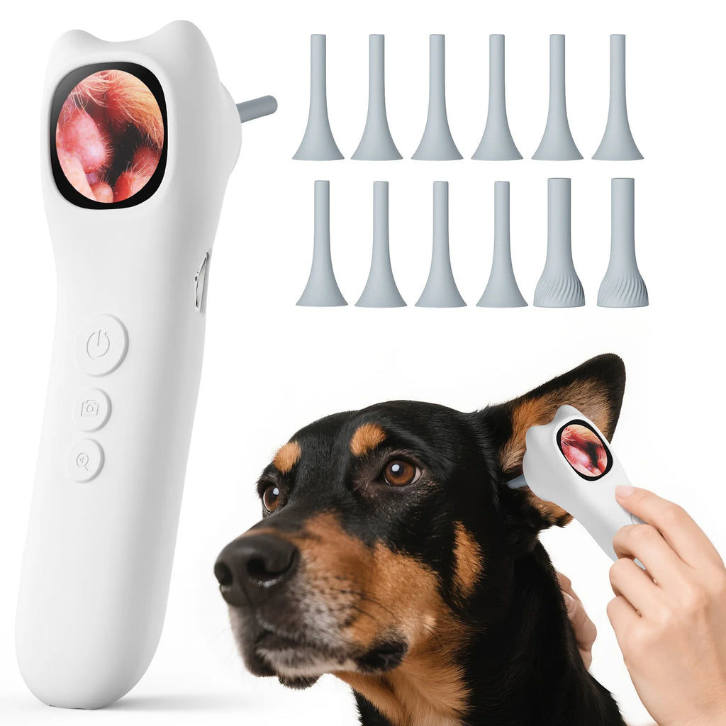5-in-1 Ear Camera