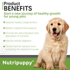 Pet Probiotic Powder Supplement