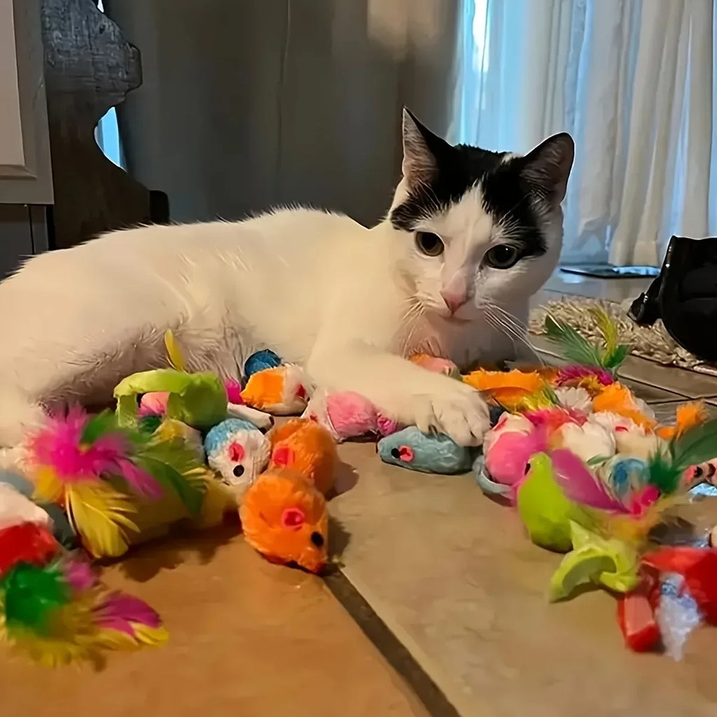 14pcs Cat Toys Mixed Pack